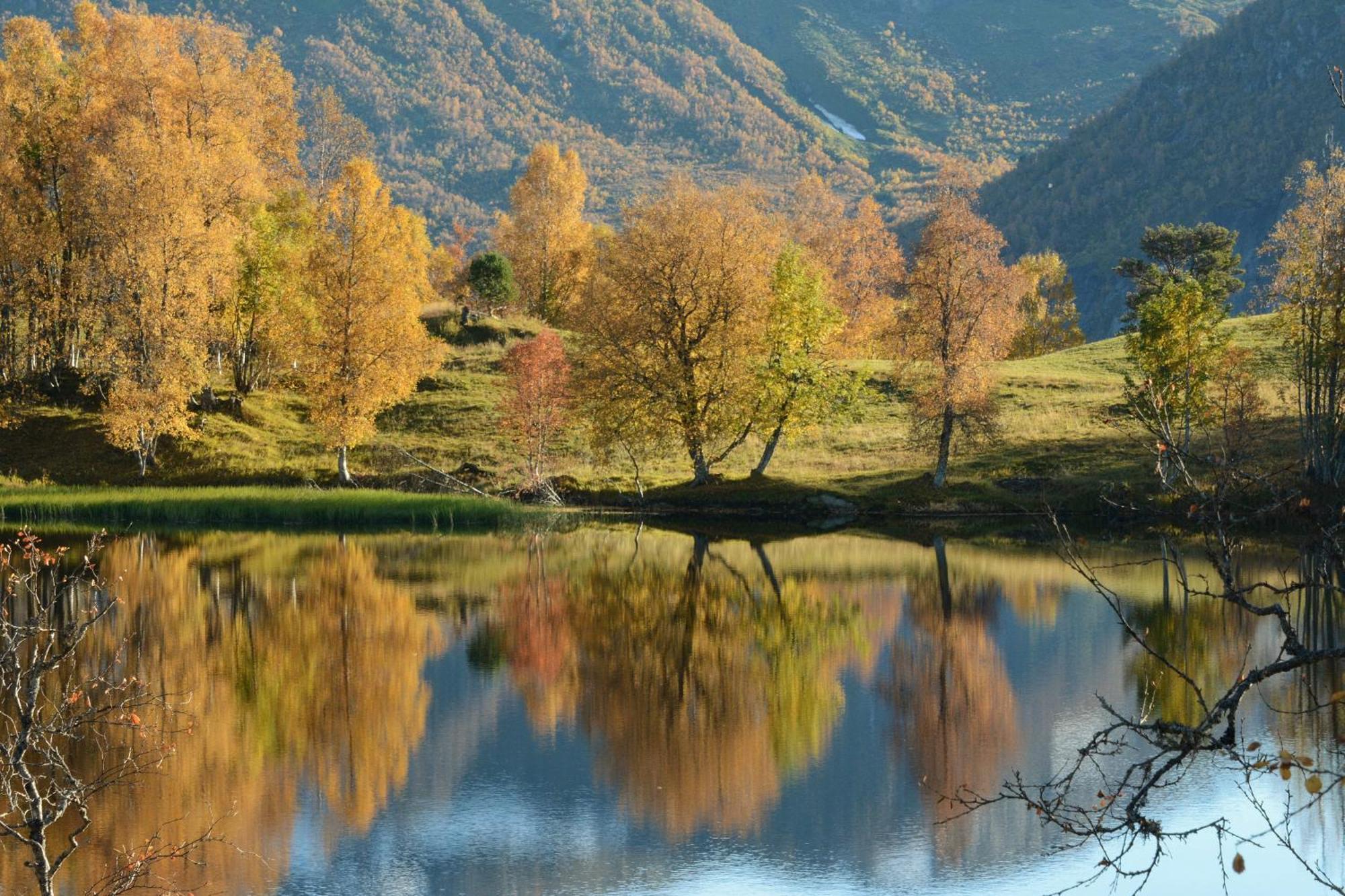 Tuftegarden Hotel Viksdalen Luaran gambar