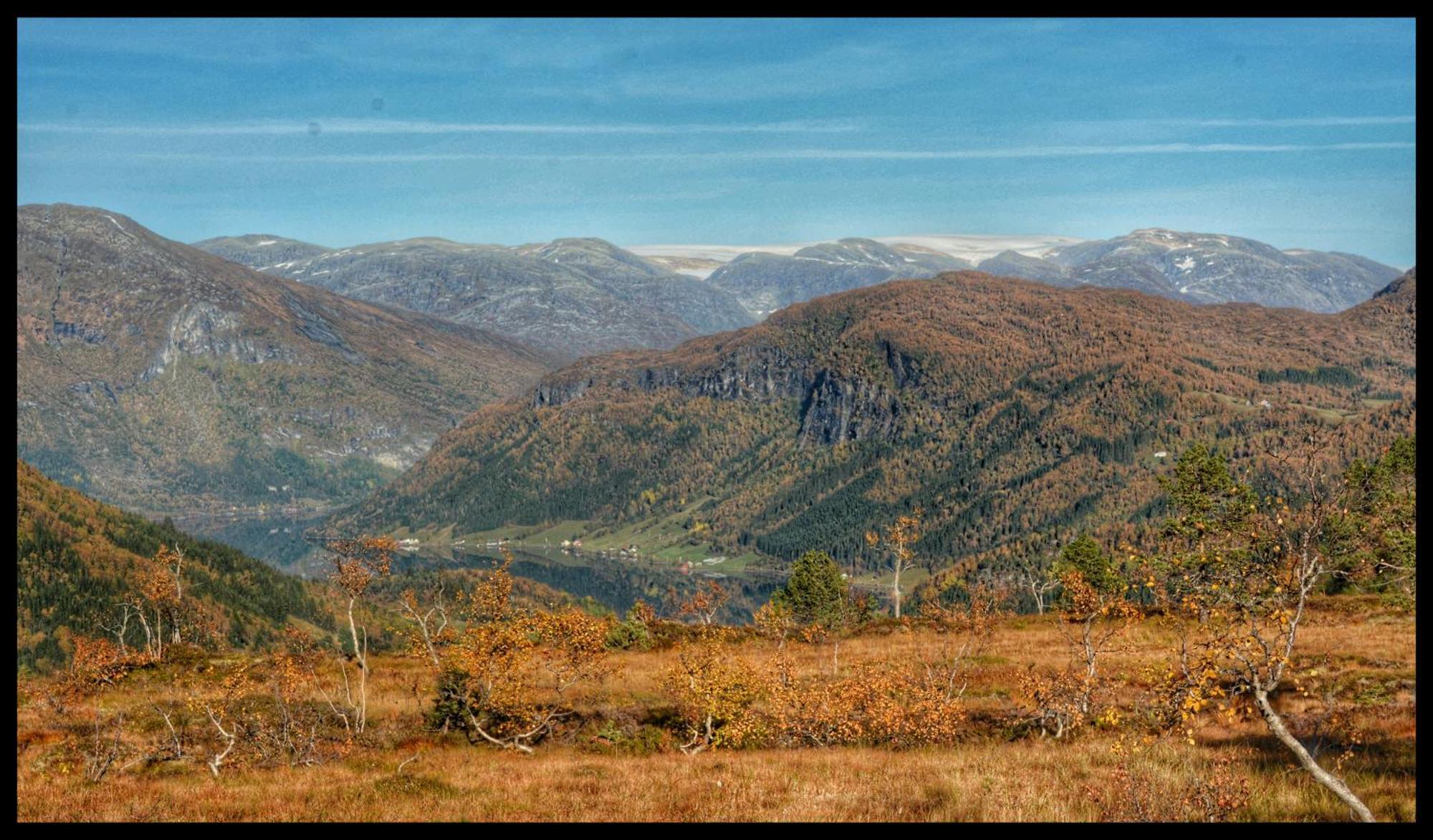 Tuftegarden Hotel Viksdalen Luaran gambar