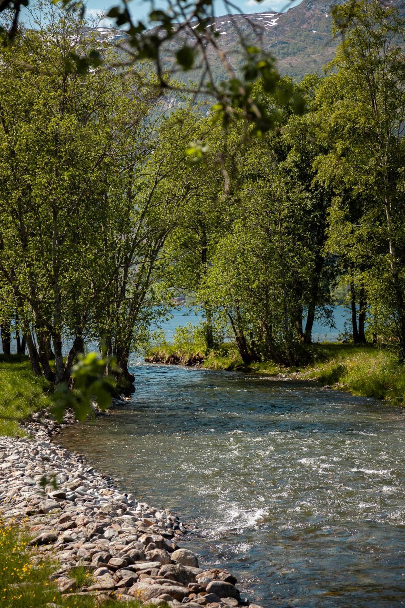 Tuftegarden Hotel Viksdalen Luaran gambar