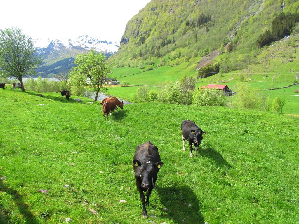 Tuftegarden Hotel Viksdalen Luaran gambar